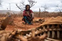 Corno d'Africa sconvolto dalla carestia