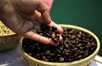 Caffè indiano