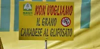 Coldiretti: stop al grano al glifosato, No a ratifica del Ceta