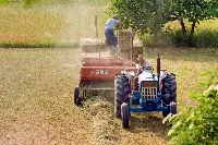 Campo agricolo