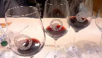Oscar Wine, Consorzio Tutela vini d'Abruzzo