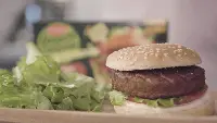 Burger veg Findus