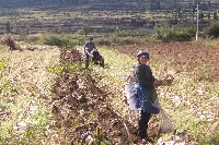 Agricoltori in Cina