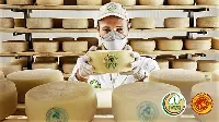 Pecorino Toscano Dop