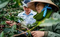 Agricoltori in Vietnam