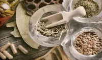 Piante officinali