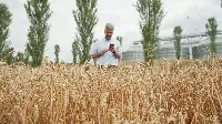 Barilla Farming