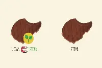 carne-vegetale