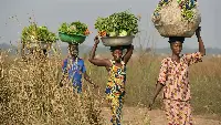 Agricoltura in Angola, Africa