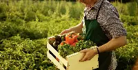 Agricoltura-biologica