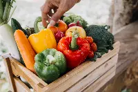 Export agroalimentare italiano