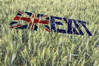 Brexit: a farne le spese anche il comparto agricolo alimentare