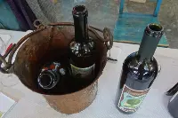 Vino bio
