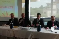Assemblea annuale Italmopa 2023