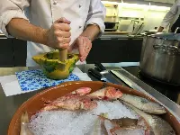 ittiturismo