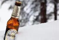 Warsteiner