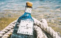 Gin Mare Capri