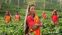Donne rurali