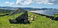 Impianto agrivoltaico
