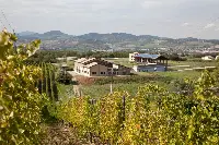 Monte delle Vigne