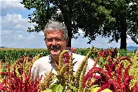 Paolo Casini, docente di Agronomia e coltivazioni erbacee Università Firenze, in un campo di Quipu
