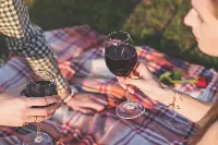 Vino