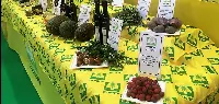 Superfood della nonna presentato nello stand Coldiretti al Sana 2018 di Bologna