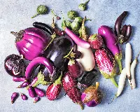 Varietà di melanzane