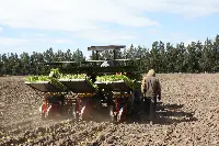 Coltivazione di tabacco in Argentina