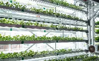 Vertical-Harvest