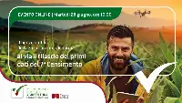 Al via rilascio primi dati 7° Censimento Istat