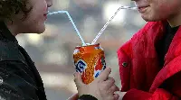 Bibita
