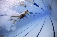 msc, Le Olimpiadi di Tokyo, olimpiadi msc