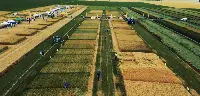 Consorzi agrari d'Italia