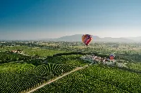 Arnaldo Caprai - Balloon_vigneti
