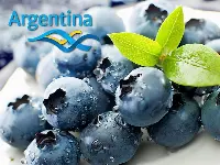Mirtilli prodotti in Argentina