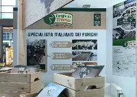 Stand MacFrut
