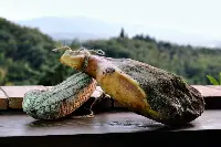 Salumi toscani