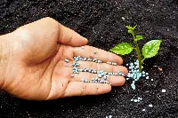 Fertilizzante agricolo