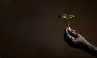 illy_B_Corp_Sustainable
