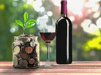 Finanziamenti alcomparto vitivinicolo