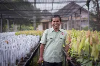 Cocoa Horizons in Indonesia-5_0