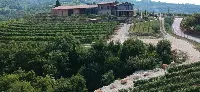 Tenuta La Giuva acquisita da Signorvino (gruppo Calzedonia)