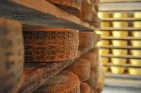 Formaggio Asiago DOP11