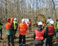 Progetto Alcotra voforest