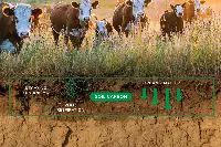 Carbon farming Ue