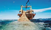 Pesca a strascico
