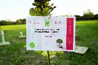 Boniviri_riforestazione