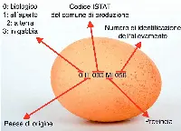 Uovo con timbratura