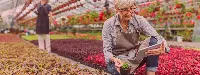 Logistica agroalimentare